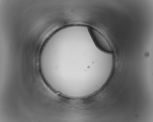 X0000112831285200909181641