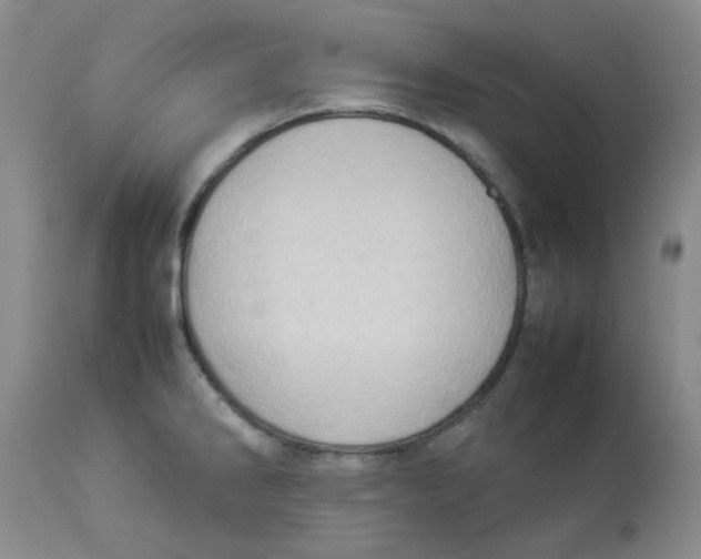 X0000112831286200909181641