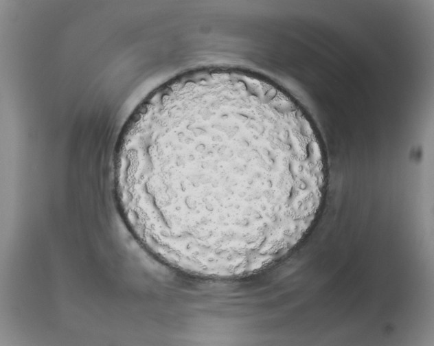 X0000112831287200909181641