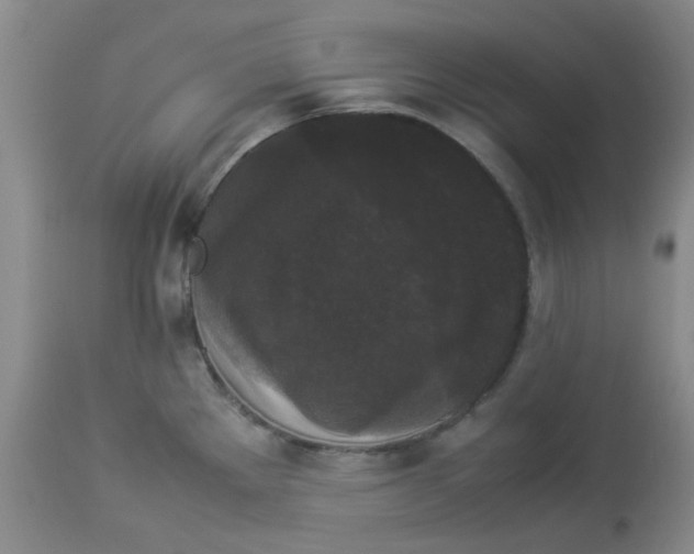 X0000112831289200909181641