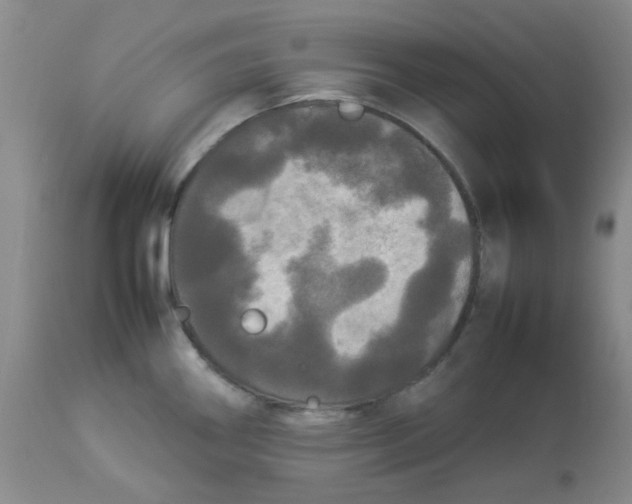 X0000112831290200909181641