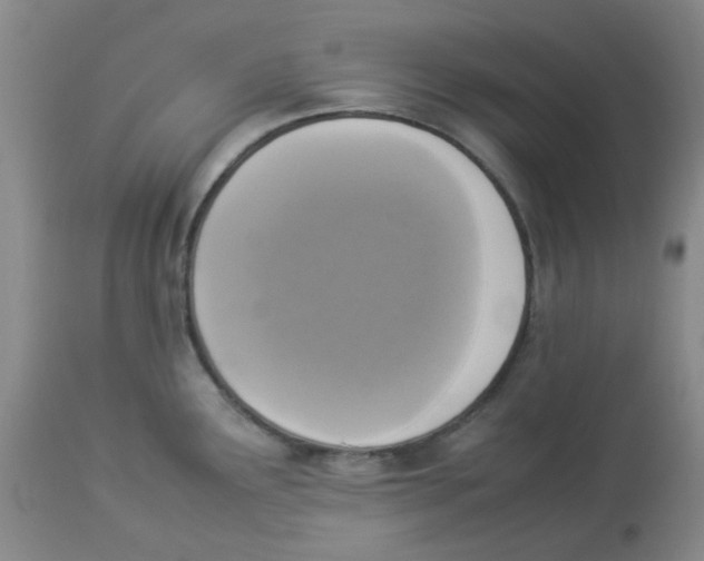 X0000112831291200909181641