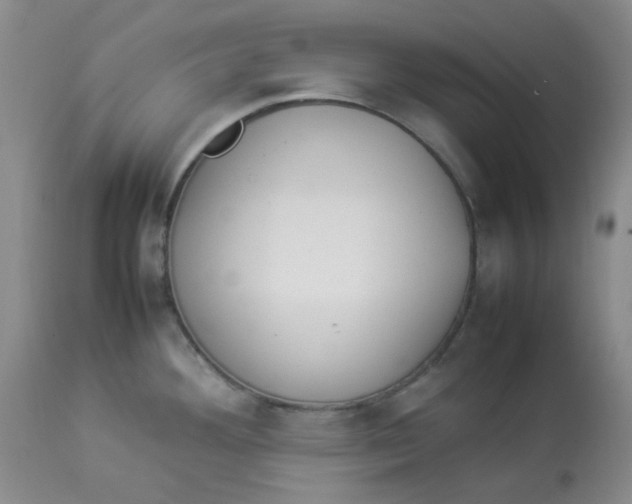 X0000112831292200909181641