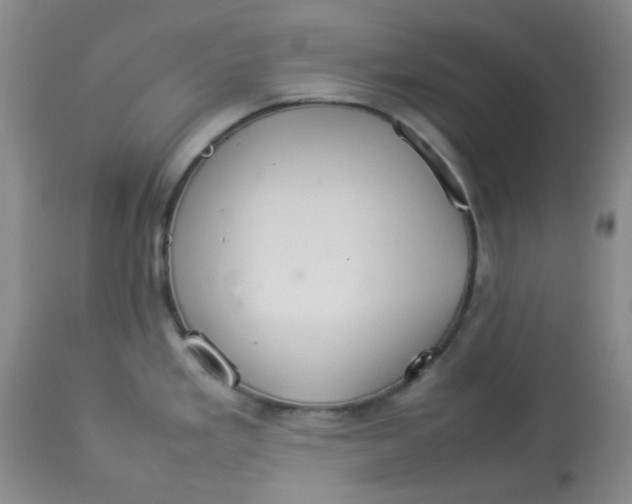 X0000112831293200909181641