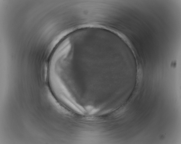 X0000112831295200909181641