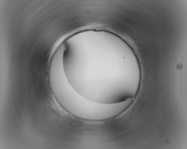 X0000112831296200909181641