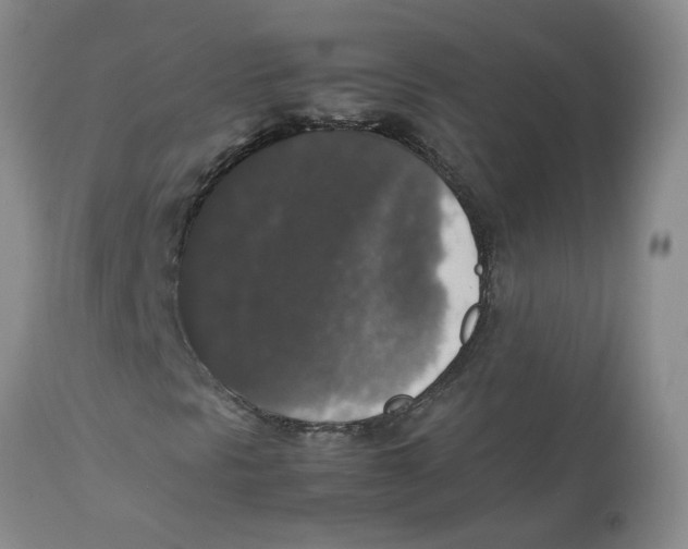 X0000112831297200909181640