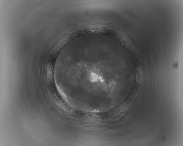 X0000112831298200909181640