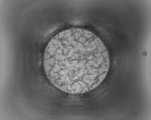 X0000112831301200909181640