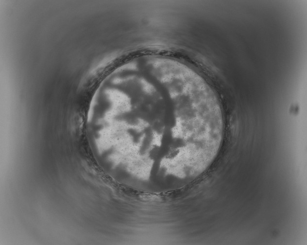 X0000112831302200909181640