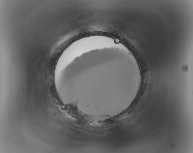 X0000112831303200909181640