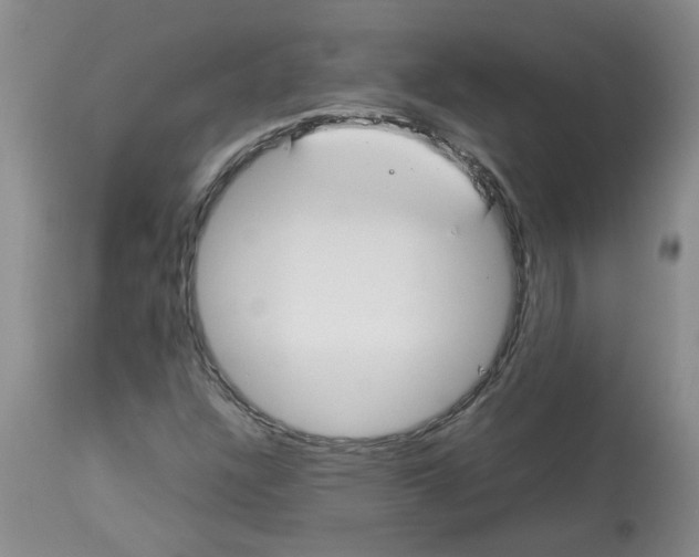 X0000112831304200909181640