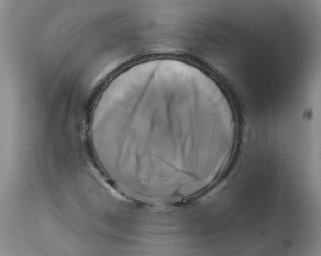 X0000112831306200909181640