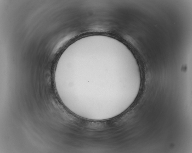 X0000112831307200909181640