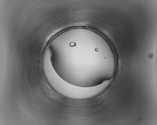 X0000112831308200909181640