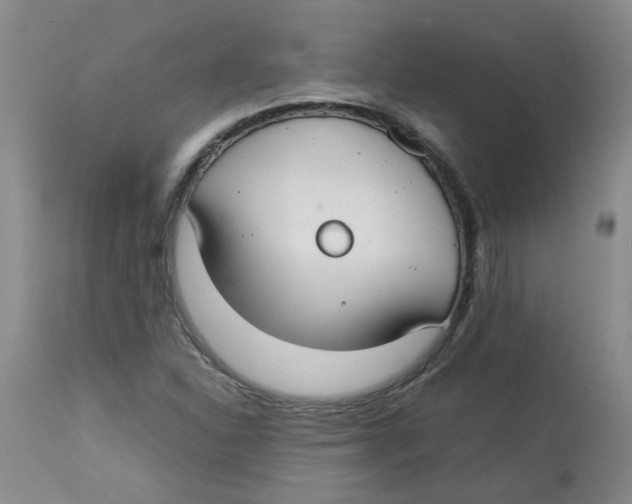 X0000112831310200909181640