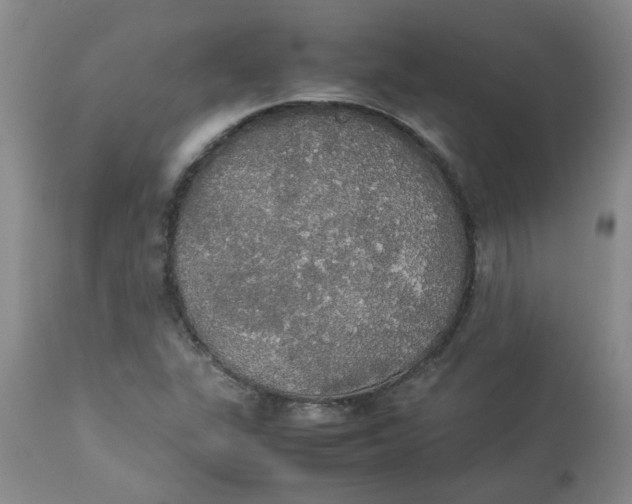 X0000112831311200909181640