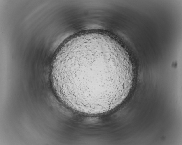 X0000112831313200909181640