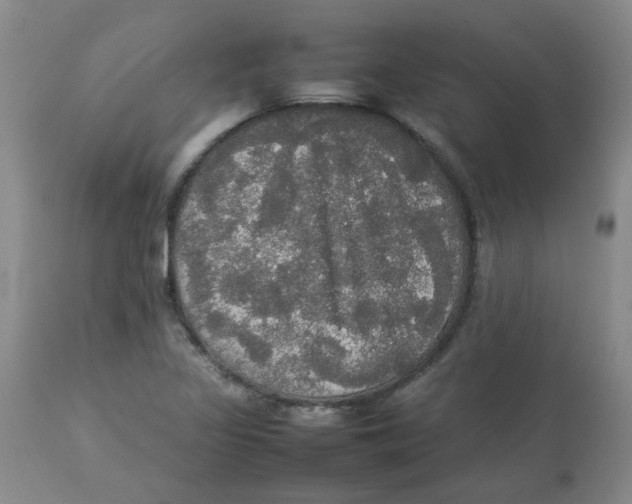 X0000112831317200909181640