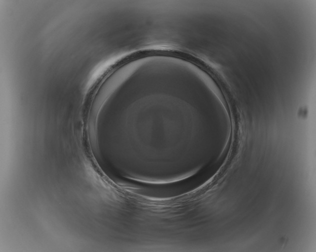 X0000112831319200909181640