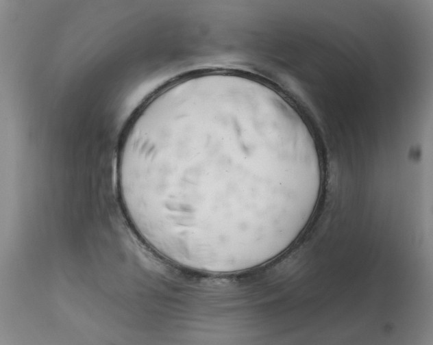 X0000112831320200909181640