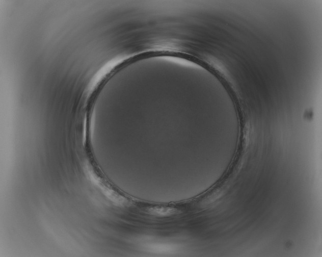 X0000112831323200909181640