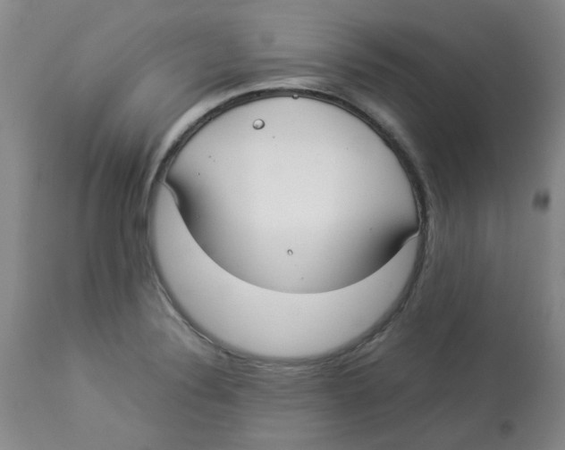 X0000112831324200909181640