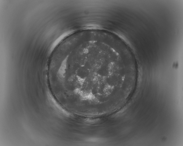 X0000112831325200909181640