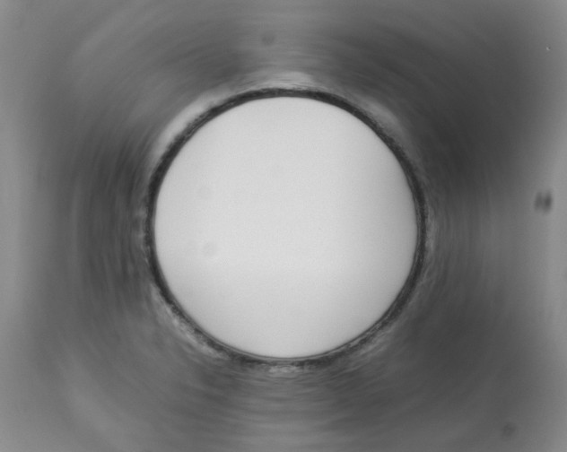 X0000112831326200909181640