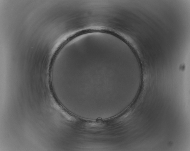 X0000112831327200909181640