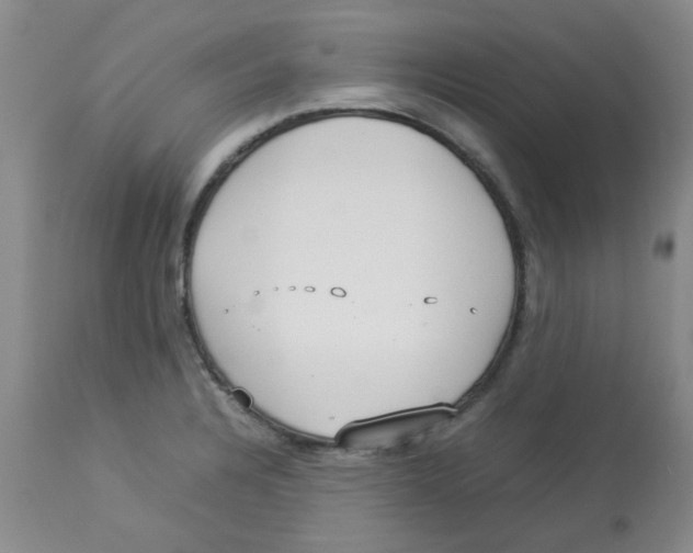 X0000112831328200909181640