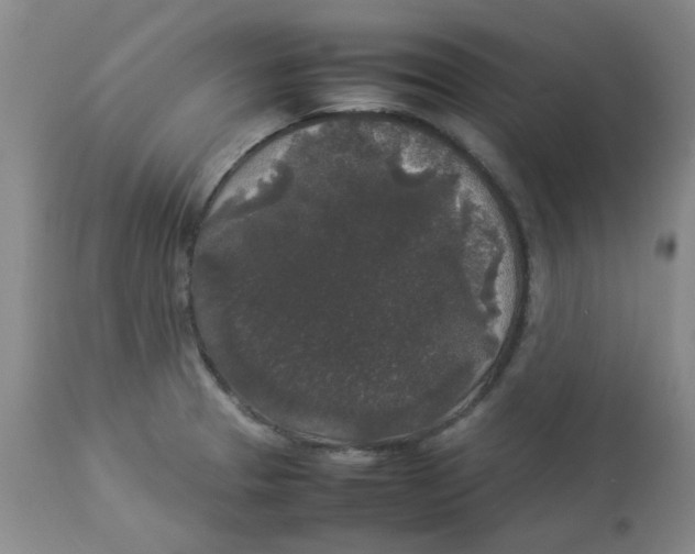 X0000112831329200909181640