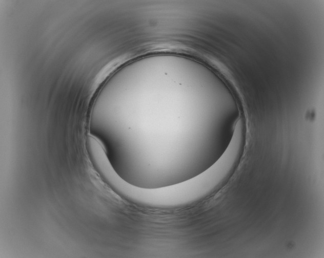 X0000112831330200909181640