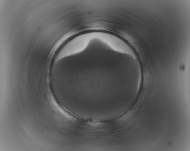 X0000112831331200909181640