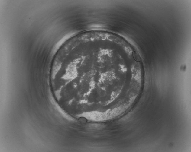 X0000112831333200909181640