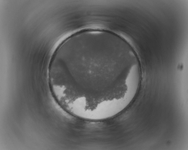 X0000112831335200909181640