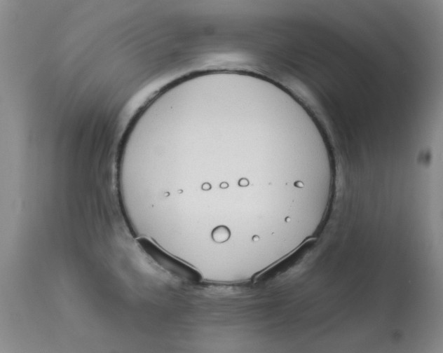 X0000112831336200909181640