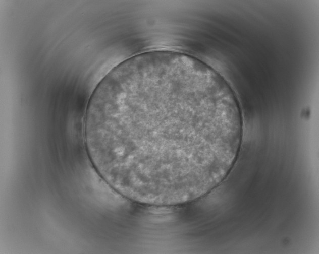 X0000112831338200909181640