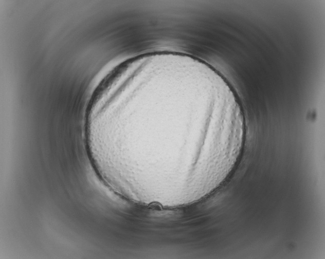 X0000112831339200909181640