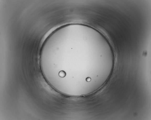 X0000112831340200909181641