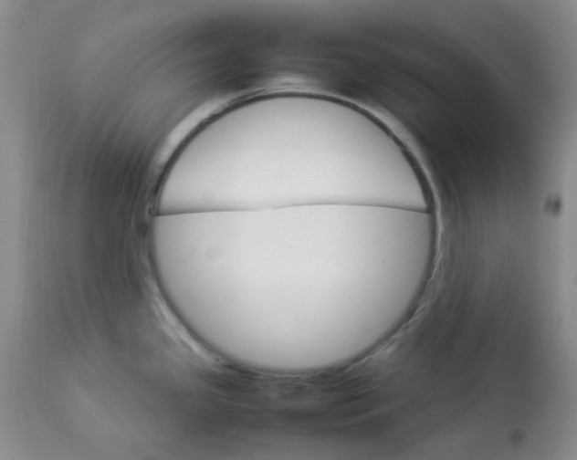 X0000112831341200909181641