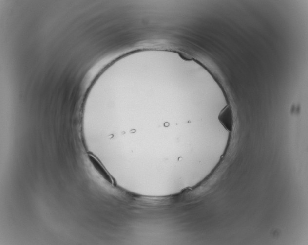 X0000112831344200909181641