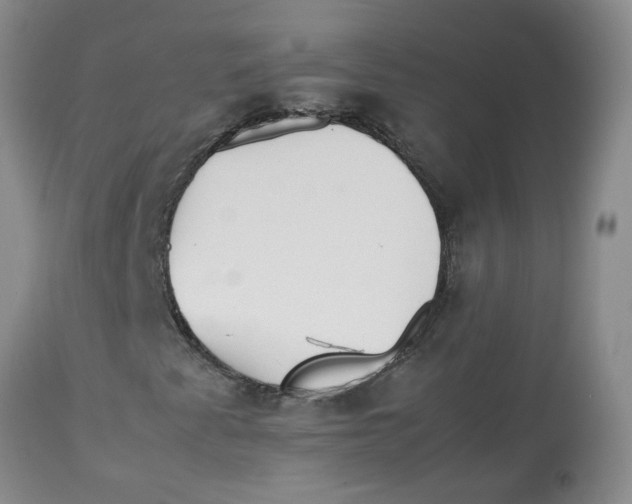 X0000112831345200909181640