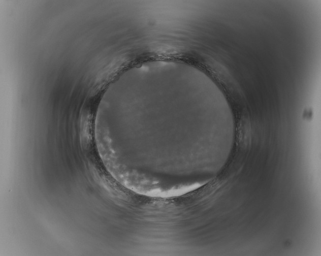 X0000112831346200909181640