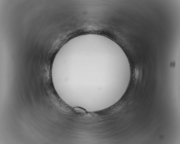 X0000112831348200909181640