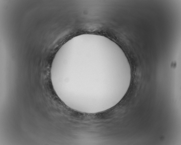 X0000112831349200909181640