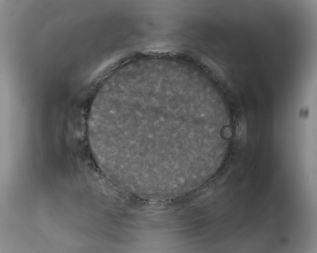 X0000112831350200909181640