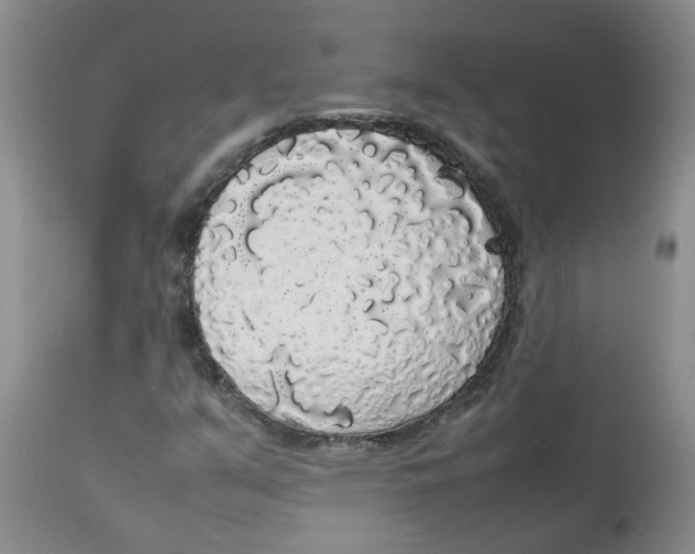 X0000112831351200909181640