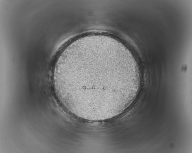 X0000112831352200909181640