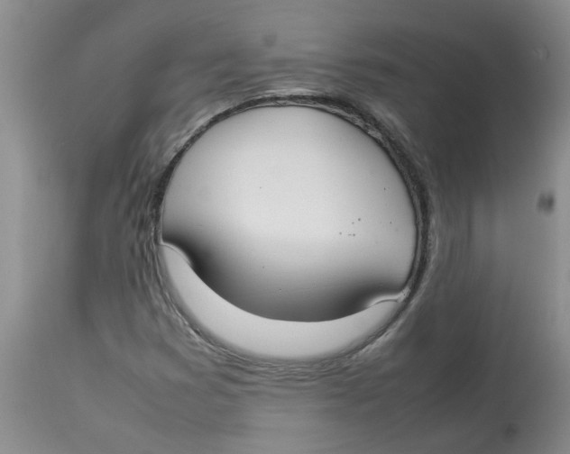 X0000112831353200909181640